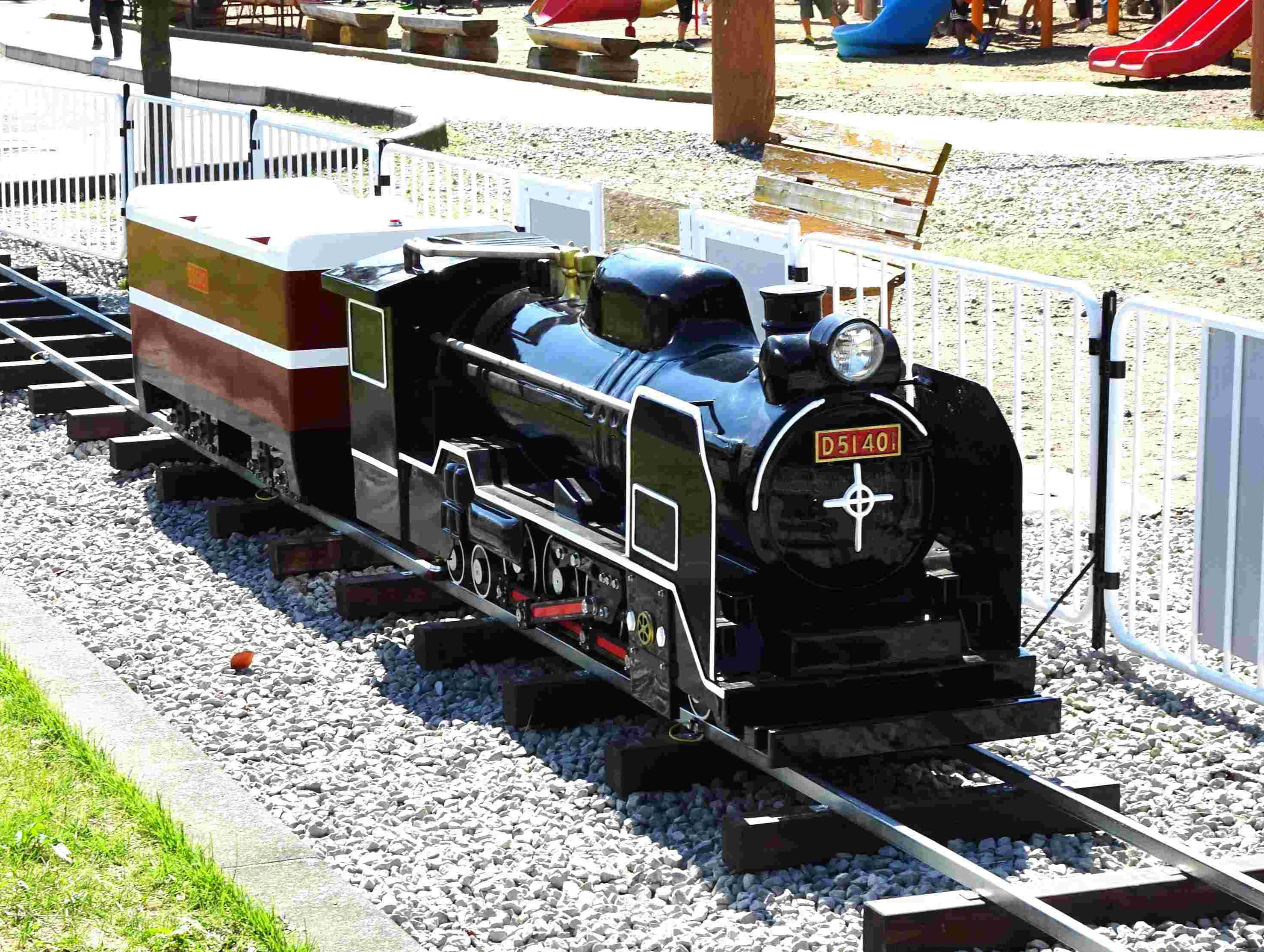 D51